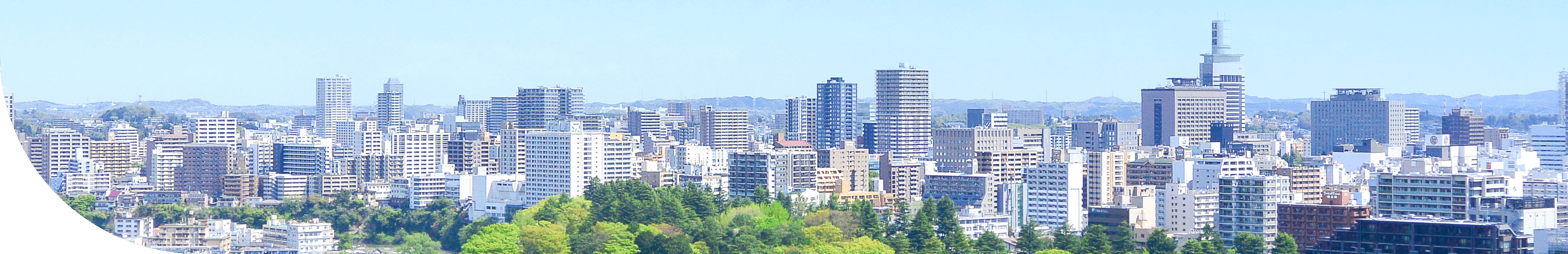 東日本朝日広告社 採用情報スタッフインタビュー